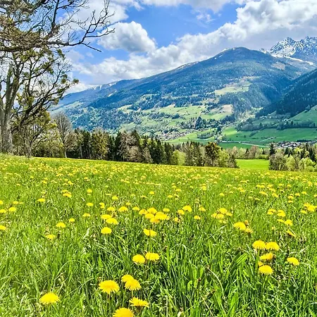 Siedlerhof By Interhome Haus im Ennstal