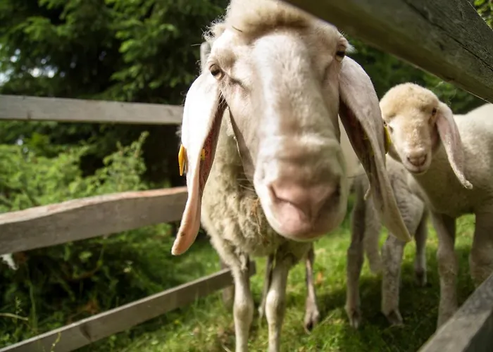 Siedlerhof By Interhome Haus im Ennstal