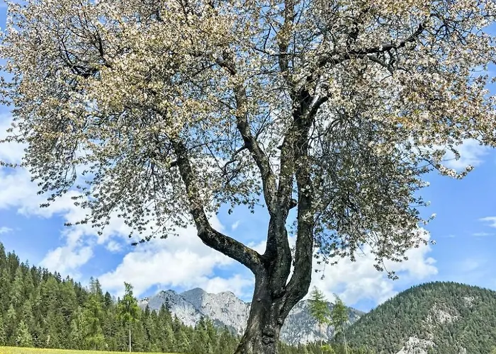 Siedlerhof By Interhome Hébergement de vacances